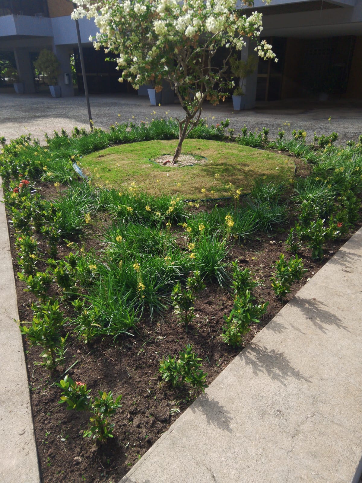 Depois — Jardineira Residencial