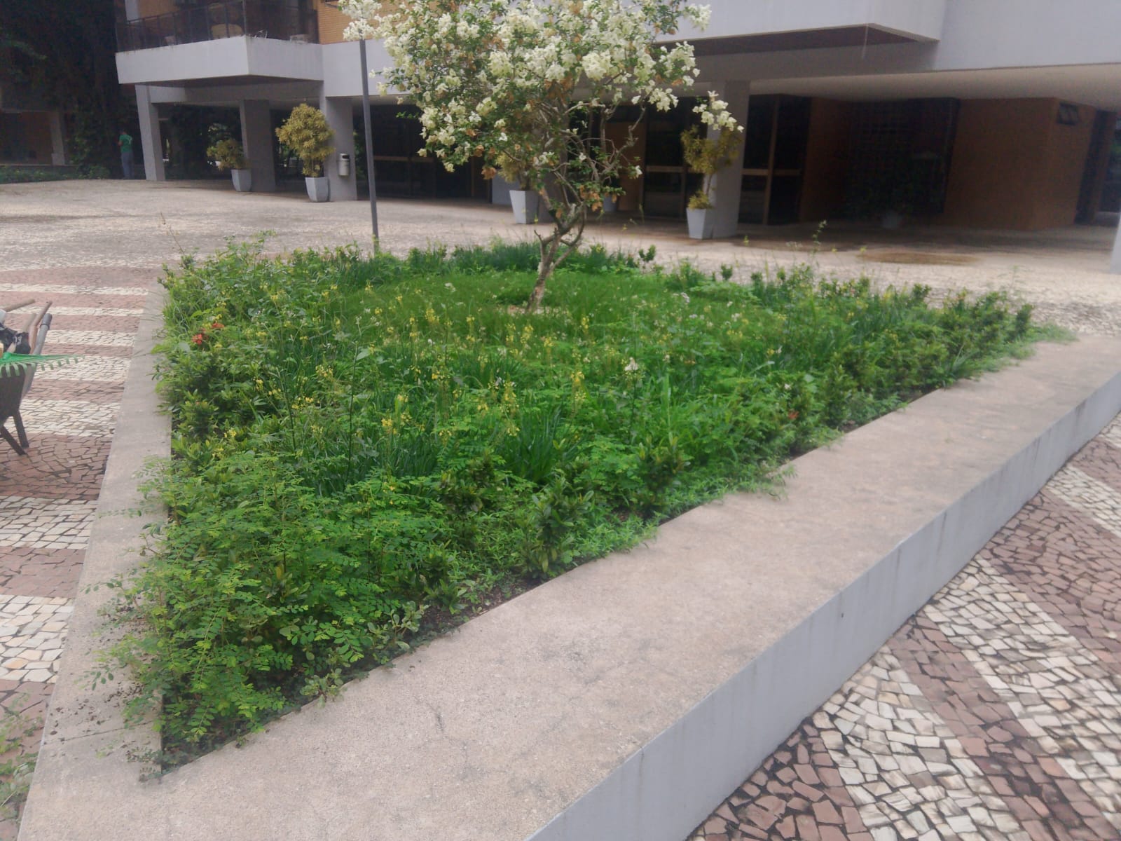 Antes — Jardineira Residencial