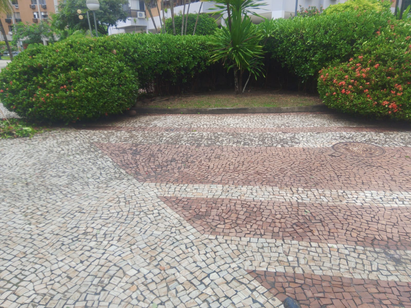 Projeto executado 2