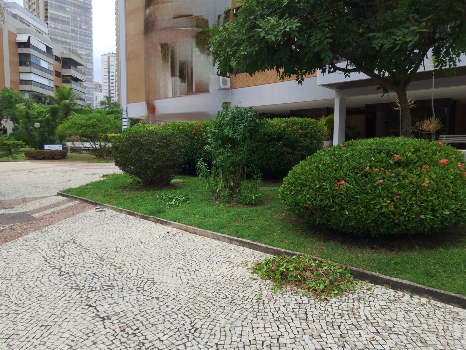 Projeto executado 3